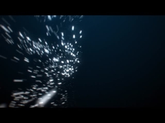 Lumiere di piscina impermeabili IP68 Rgb Dmx SS 316