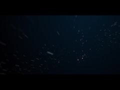 IP66 Luce di paesaggio all'aperto a LED 10W COB