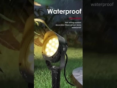 Di alta precisione di qualità anello Led Outdoor Garden Light Show con il miglior prezzo