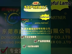 Perché Joyful Lamp può avere la fiducia di più di cento clienti?