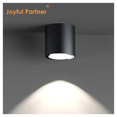 IP65 Luce di soffitto Superficie montata Downlight impermeabile Spot Light 6000K Smd Bianco LED DownLight