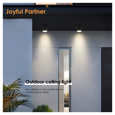 IP65 Luce di soffitto Superficie montata Downlight impermeabile Spot Light 6000K Smd Bianco LED DownLight