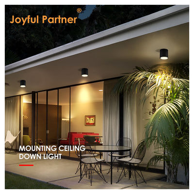 soffitto interno esterno IP65 8w Superficie montata forma cilindrica fresca Bianco 4000K LED Uplights Certificato CE ROHS