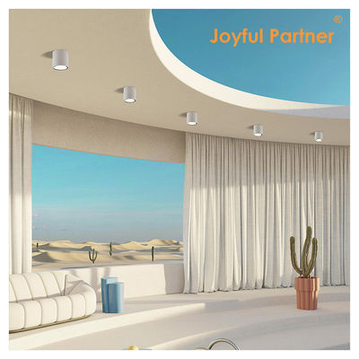 soffitto interno esterno IP65 8w Superficie montata forma cilindrica fresca Bianco 4000K LED Uplights Certificato CE ROHS