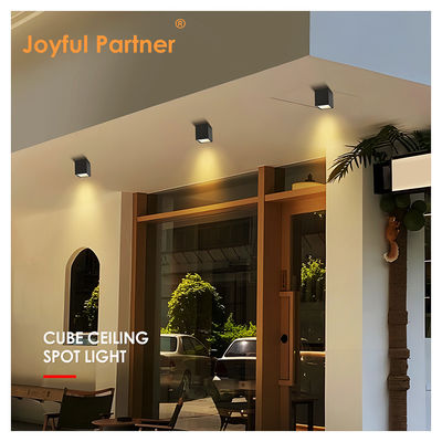 Commercial Down Light Casting Aluminum LED SMD Nuovo design moderno per interni bianco grigio