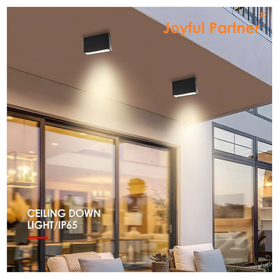 LED Down Light SMD Superficie del soffitto in colata in alluminio 5w 10w angolo di fascio 60 gradi 3000K LED bianco caldo per porta anteriore