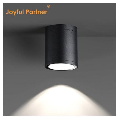 12W COB LED Downlight cilindro montaggio a parete luce di design compatto superficie fissa per applicazioni all'aperto