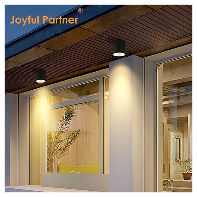 15W COB LED Downlight cilindro montato a parete Compatto Design Fix Superficie per esterni