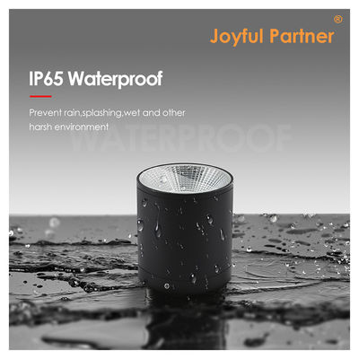 Lampada da giardino esterna a muro a cilindro nero a colonna verso il basso Lampada da giardino esterna Cree COB Led 15W 3500k